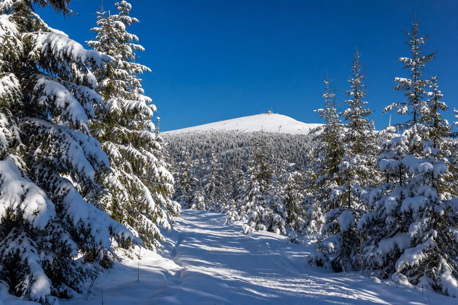 Verschneiter Winterweg am Fichtelberg in Oberwiesenthal